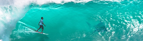 How can mortgage lenders shark proof their business and make sure they catch the next refinance wave?