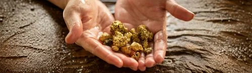 If new business is gold, why are so many mortgage loan officers mining the wrong mountain?